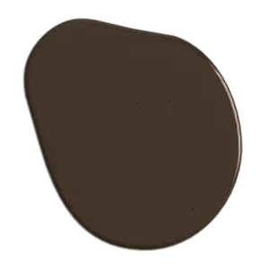 Fudgy Brownie
