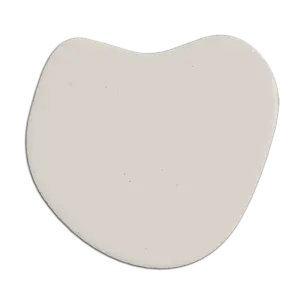 Moon Scoop