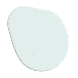 Sage Blink