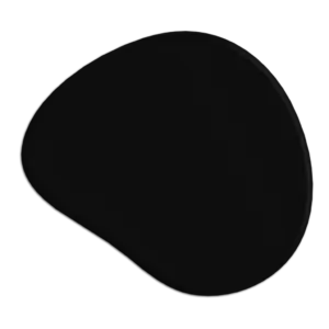 RAL 9005