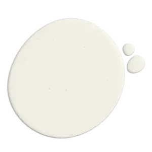 RAL 9010